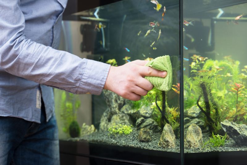 Contact About Fish Tank Moving